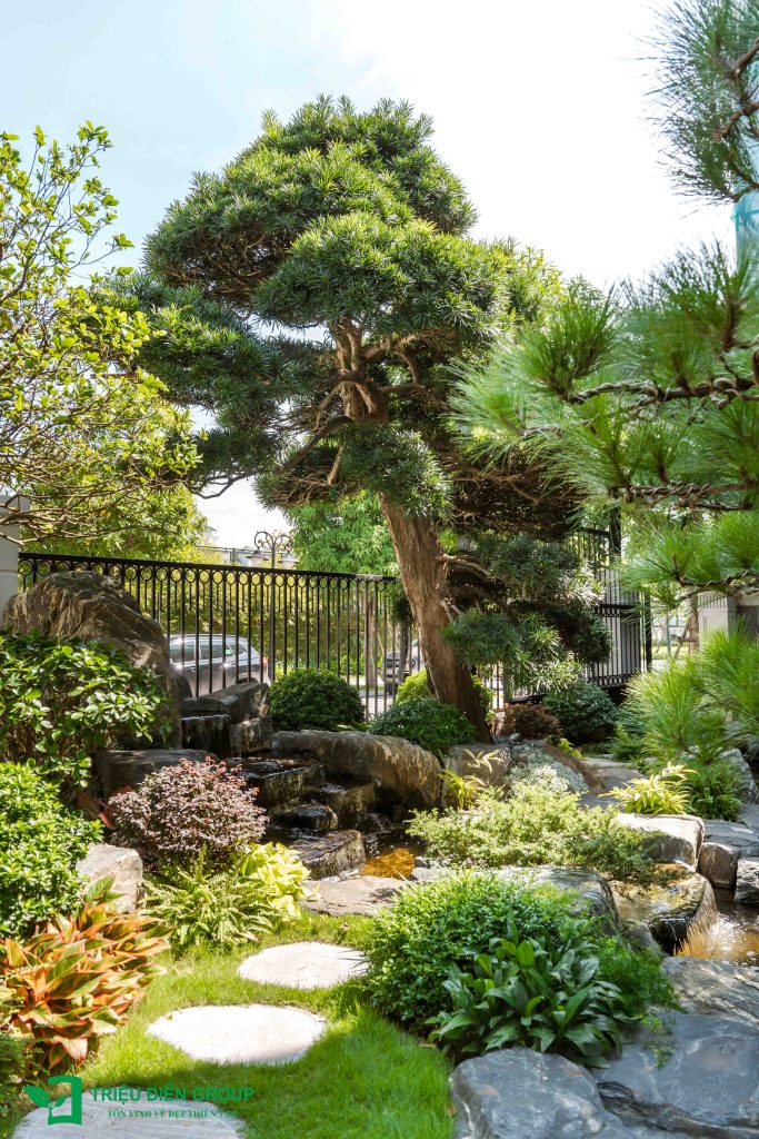 Thiết kế thi công sân vườn trọn gói tại hà nội