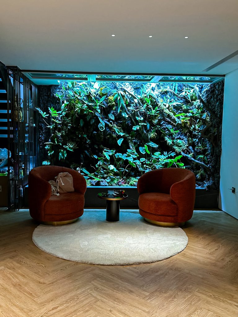 Thiết kế thi công sân vườn trọn gói tại hà nội