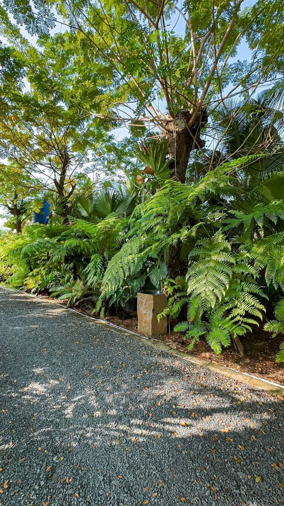 Thiết kế thi công sân vườn trọn gói tại hà nội