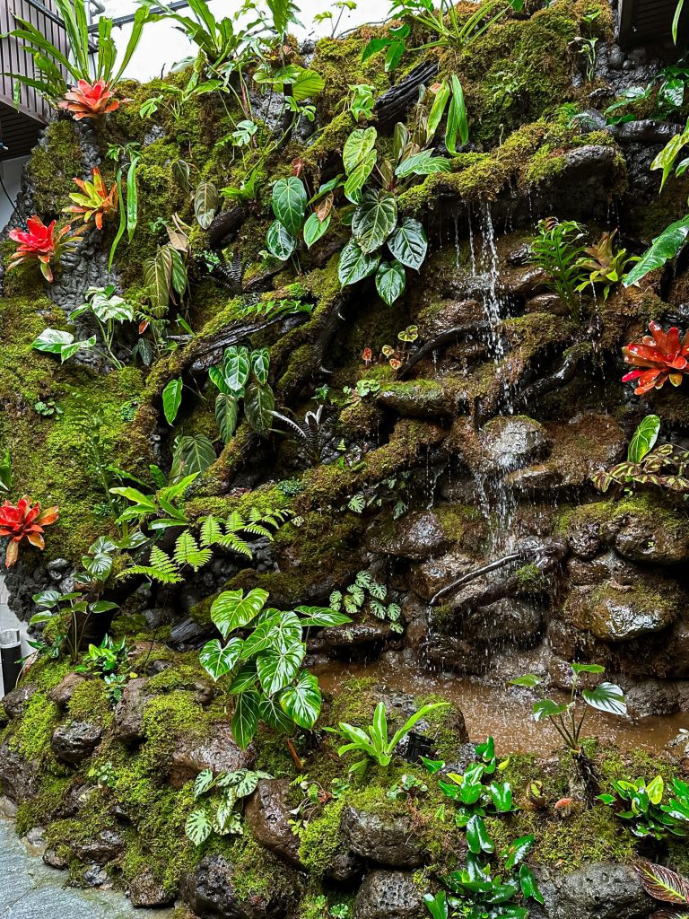 Thiết kế thi công sân vườn trọn gói tại hà nội