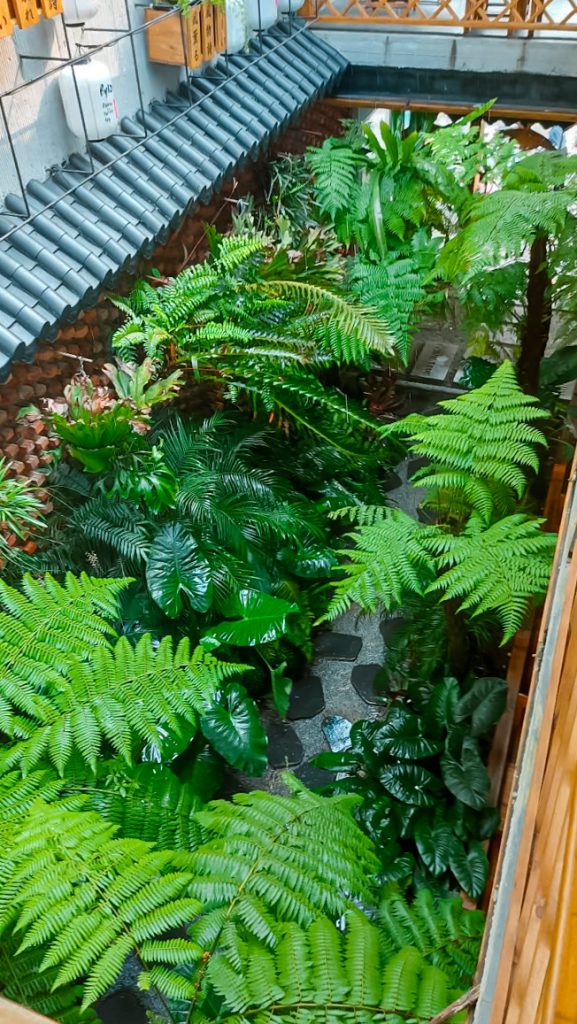 Thiết kế thi công sân vườn trọn gói tại hà nội