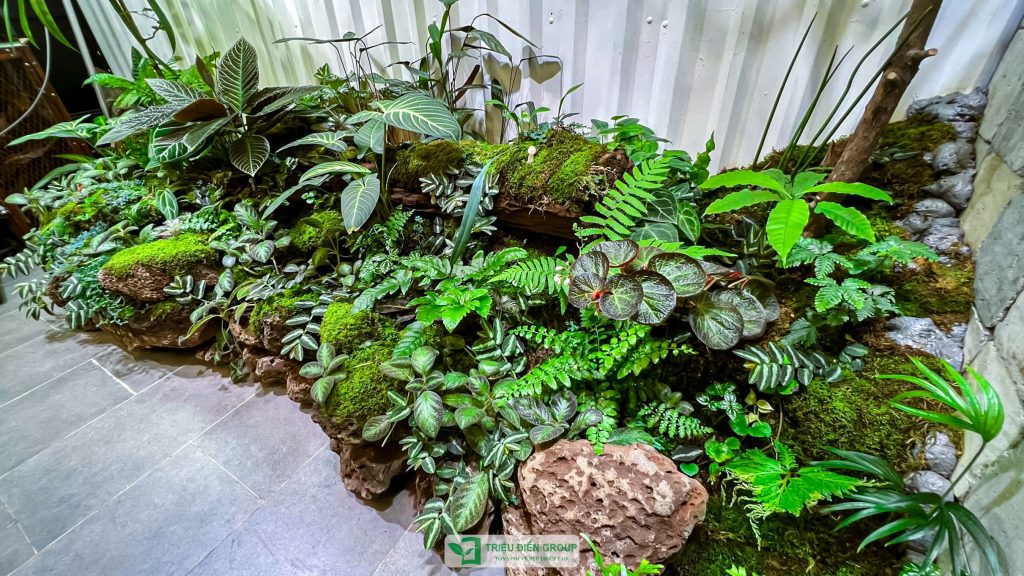 Thiết kế thi công sân vườn trọn gói tại hà nội