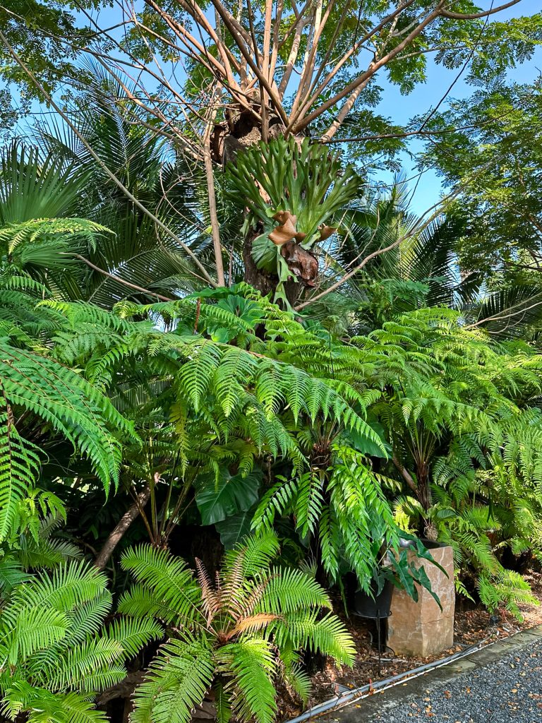 Thiết kế thi công sân vườn trọn gói tại hà nội