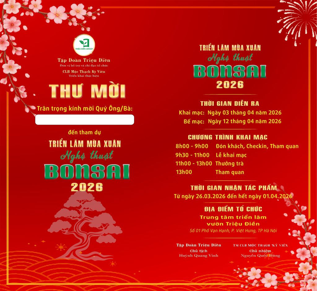 Thiết kế thi công sân vườn trọn gói tại hà nội