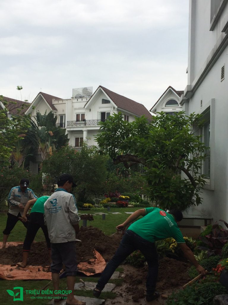 Thiết kế thi công sân vườn trọn gói tại hà nội
