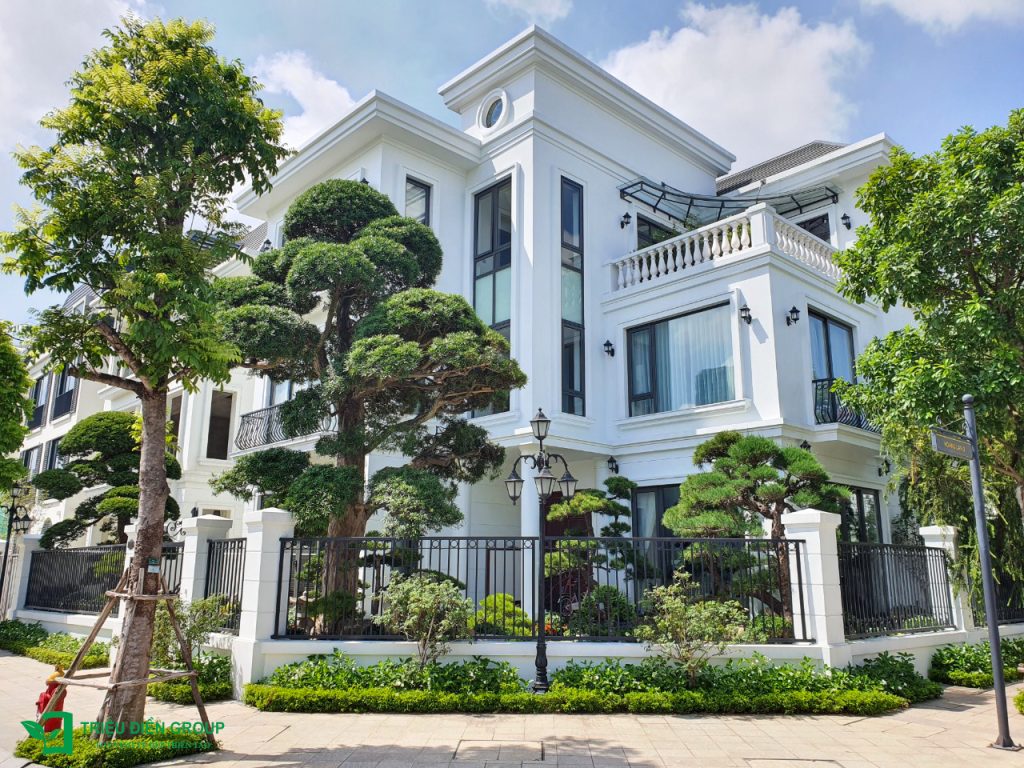 Thiết kế thi công sân vườn trọn gói tại hà nội