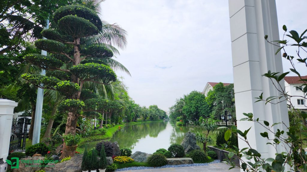 Thiết kế thi công sân vườn trọn gói tại hà nội