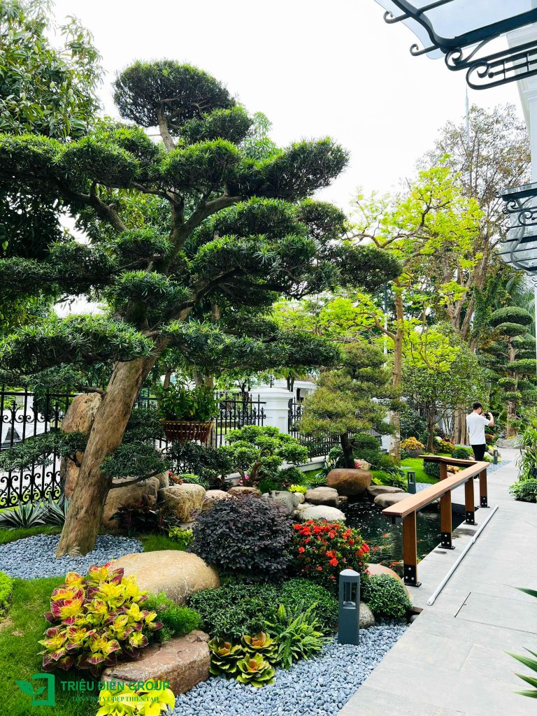 Thiết kế thi công sân vườn trọn gói tại hà nội