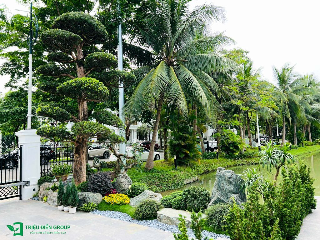 Thiết kế thi công sân vườn trọn gói tại hà nội