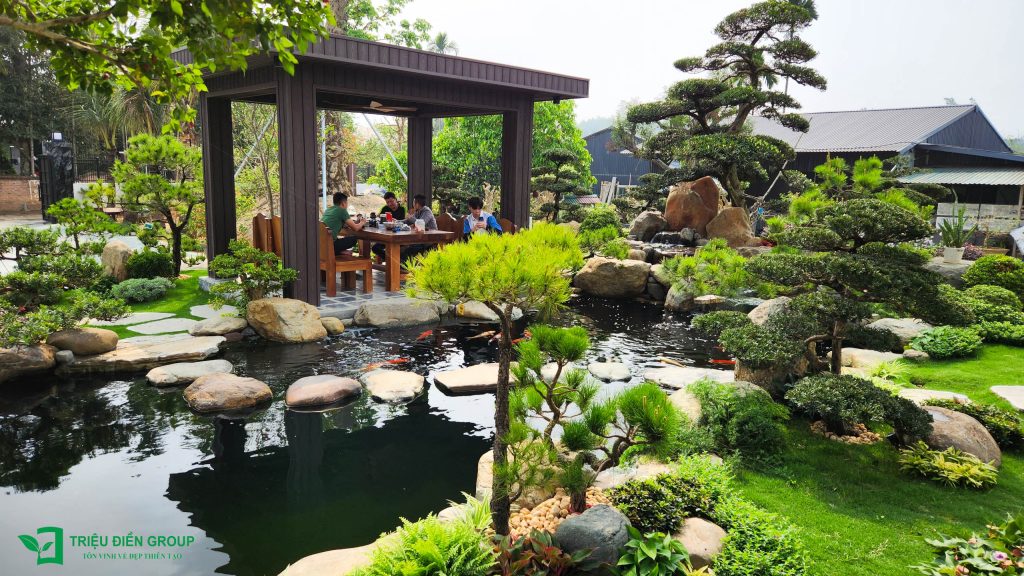 Thiết kế thi công sân vườn trọn gói tại hà nội