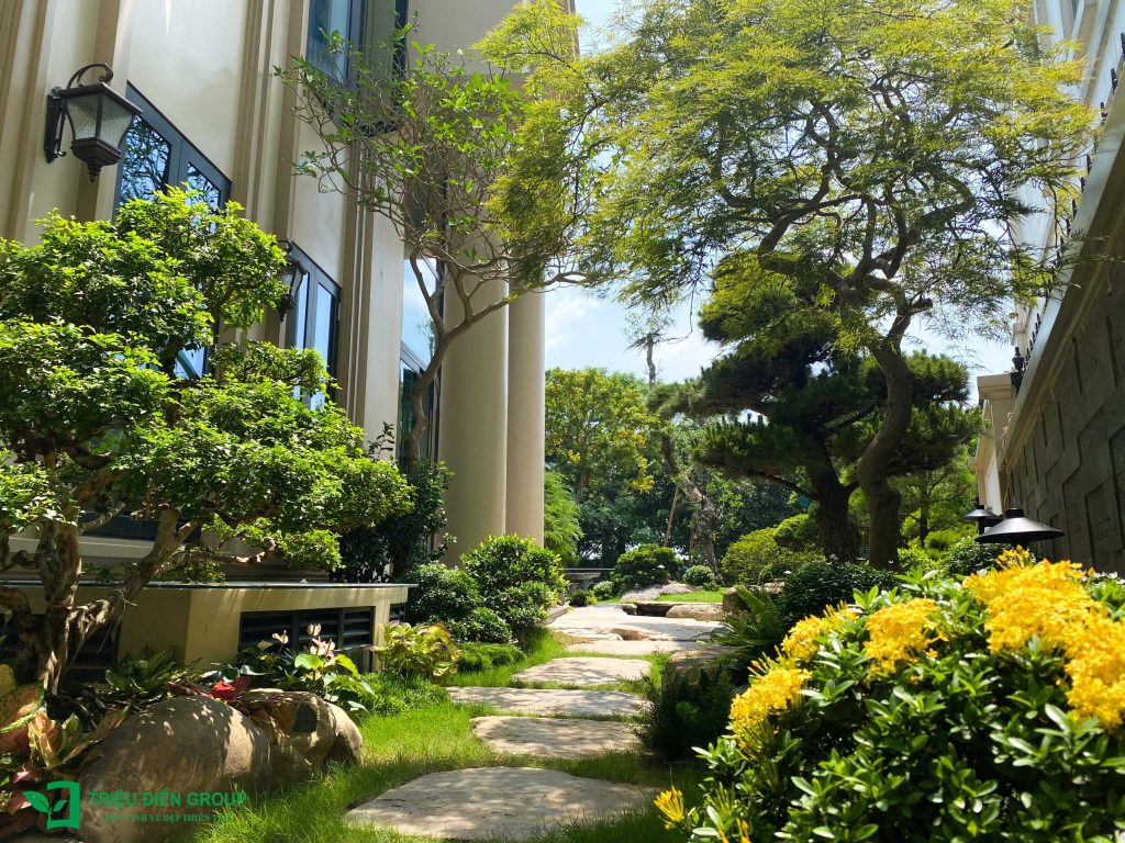 Thiết kế thi công sân vườn trọn gói tại hà nội