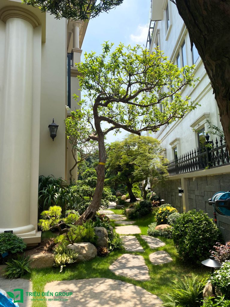 Thiết kế thi công sân vườn trọn gói tại hà nội