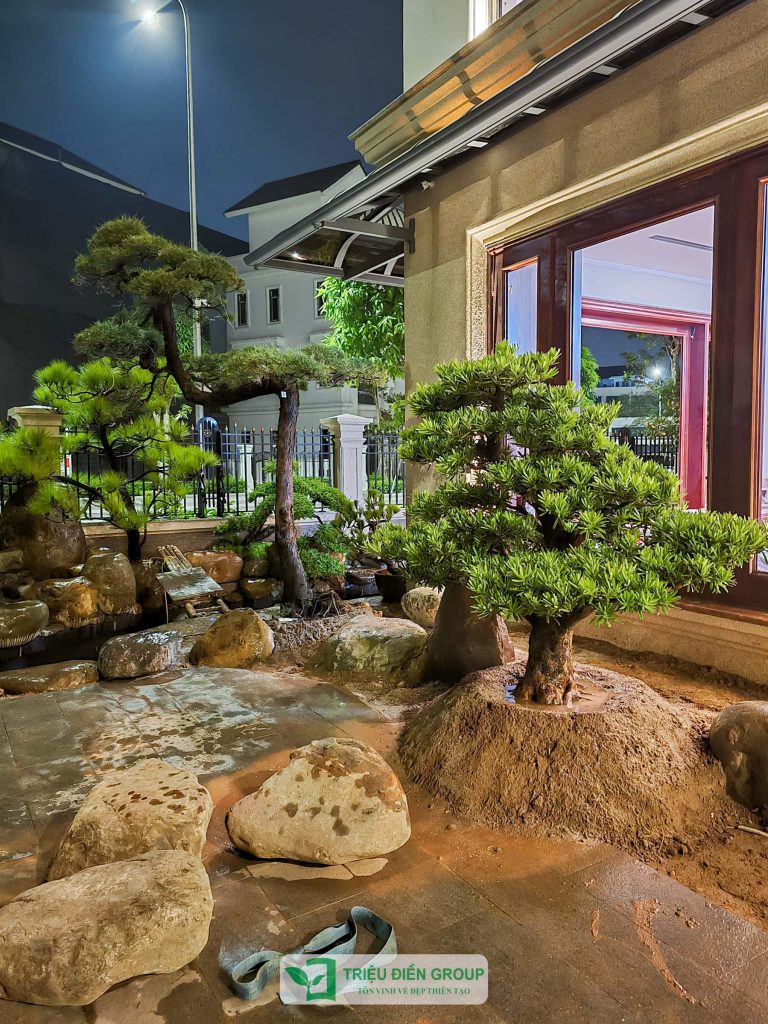 Thiết kế thi công sân vườn trọn gói tại hà nội