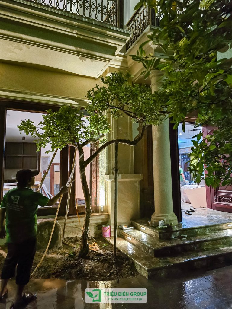 Thiết kế thi công sân vườn trọn gói tại hà nội