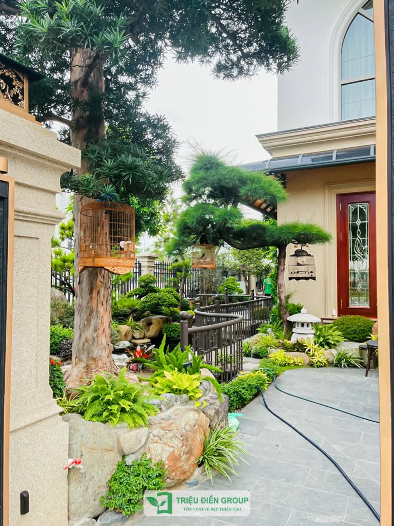 Thiết kế thi công sân vườn trọn gói tại hà nội