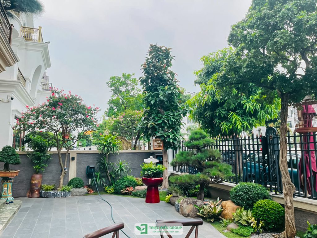 Thiết kế thi công sân vườn trọn gói tại hà nội