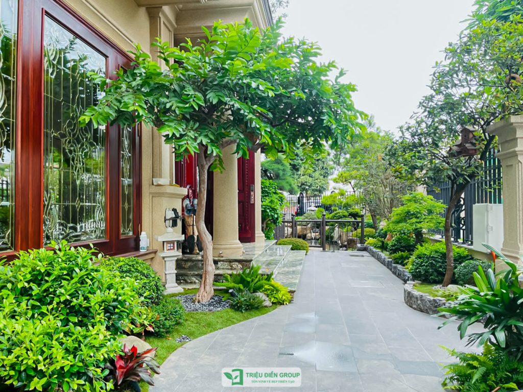 Thiết kế thi công sân vườn trọn gói tại hà nội