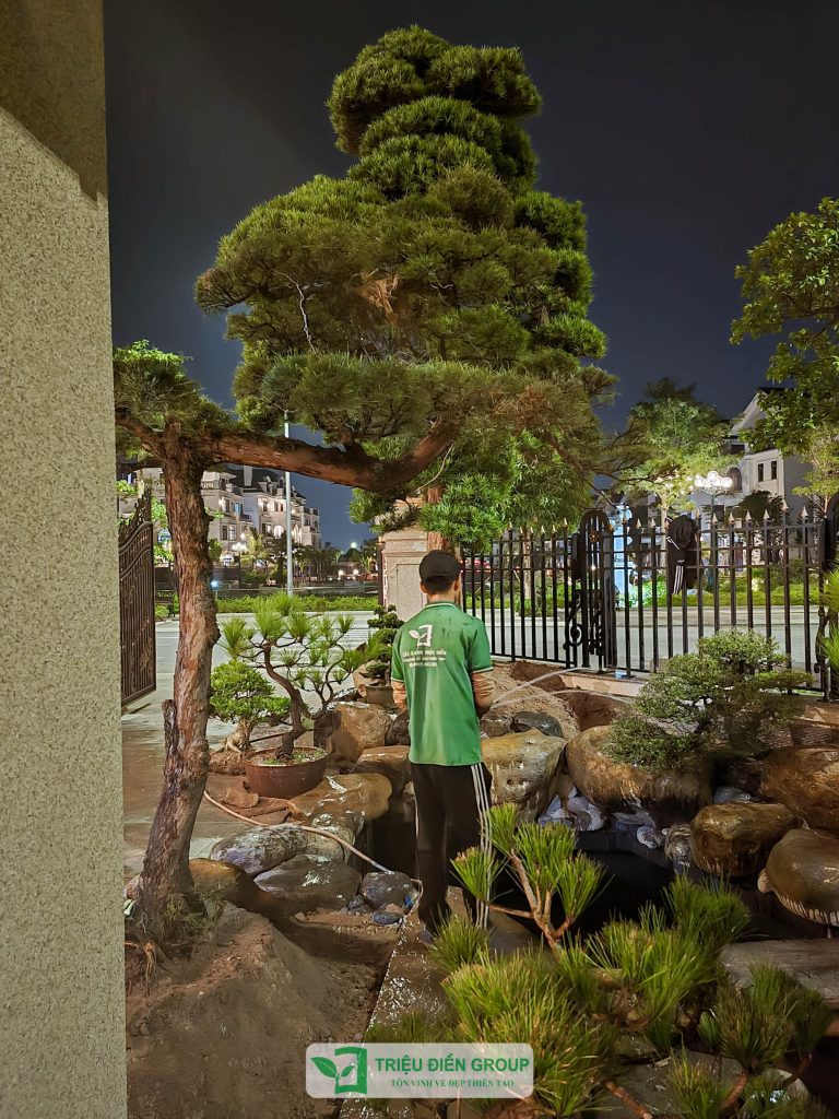 Thiết kế thi công sân vườn trọn gói tại hà nội