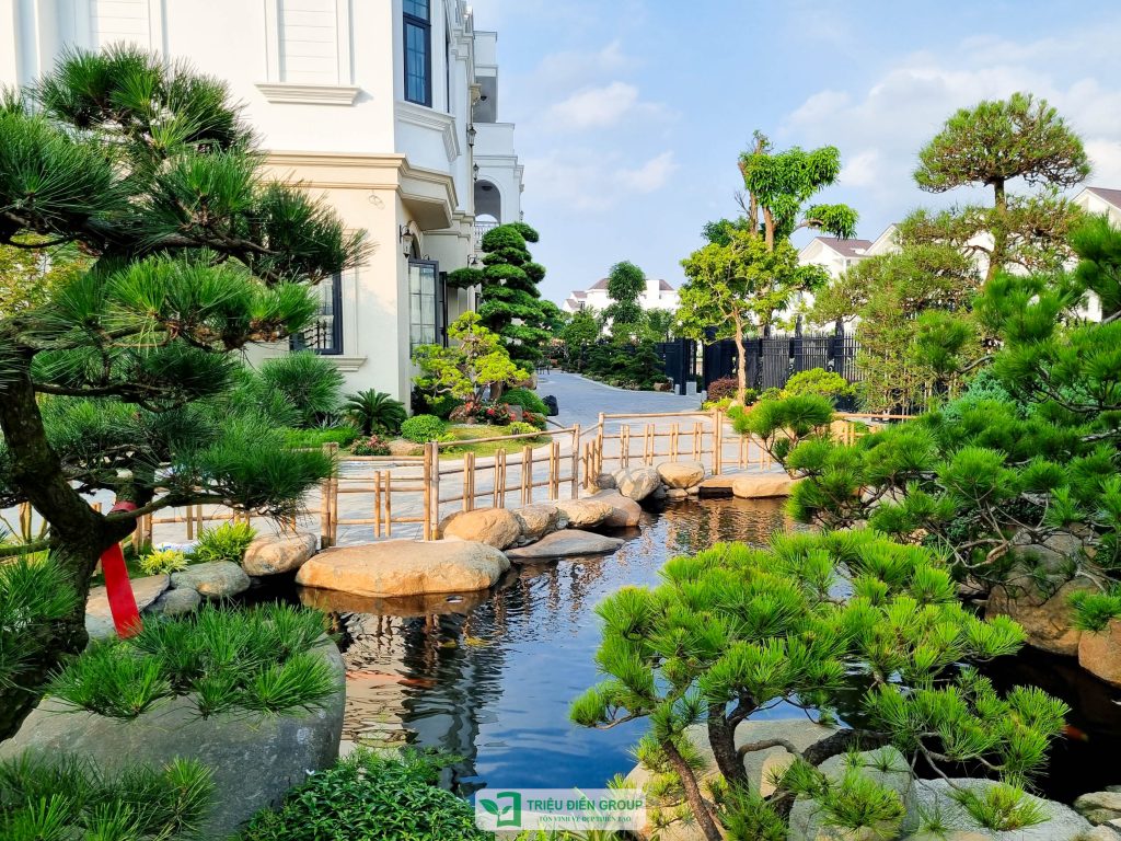 Thiết kế thi công sân vườn trọn gói tại hà nội