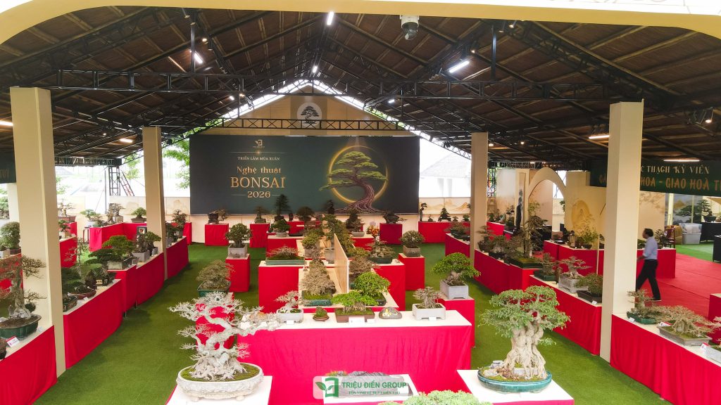 Thiết kế thi công sân vườn trọn gói tại hà nội