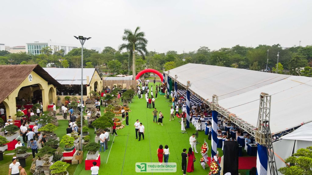 Thiết kế thi công sân vườn trọn gói tại hà nội