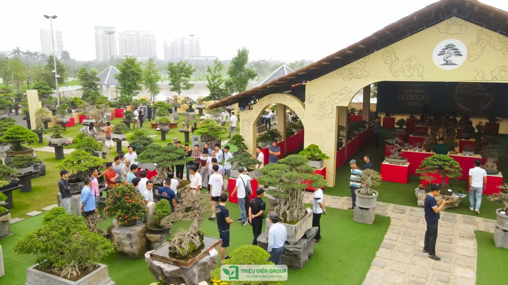 Thiết kế thi công sân vườn trọn gói tại hà nội