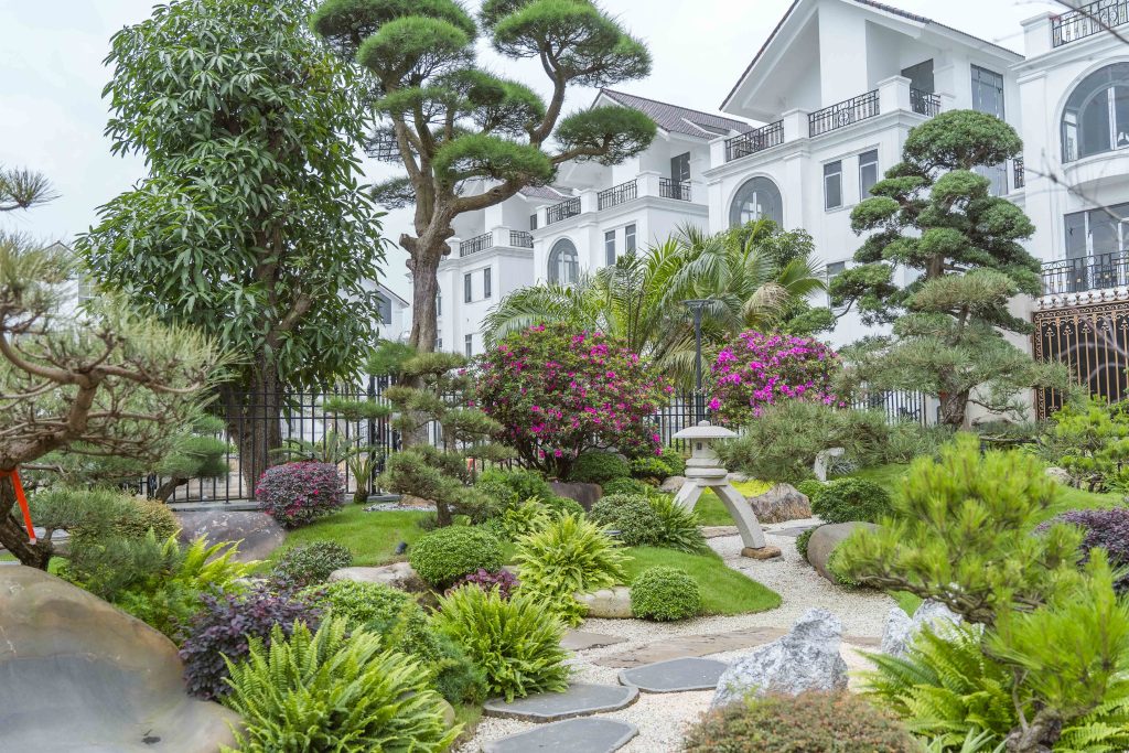 Thiết kế thi công sân vườn trọn gói tại hà nội