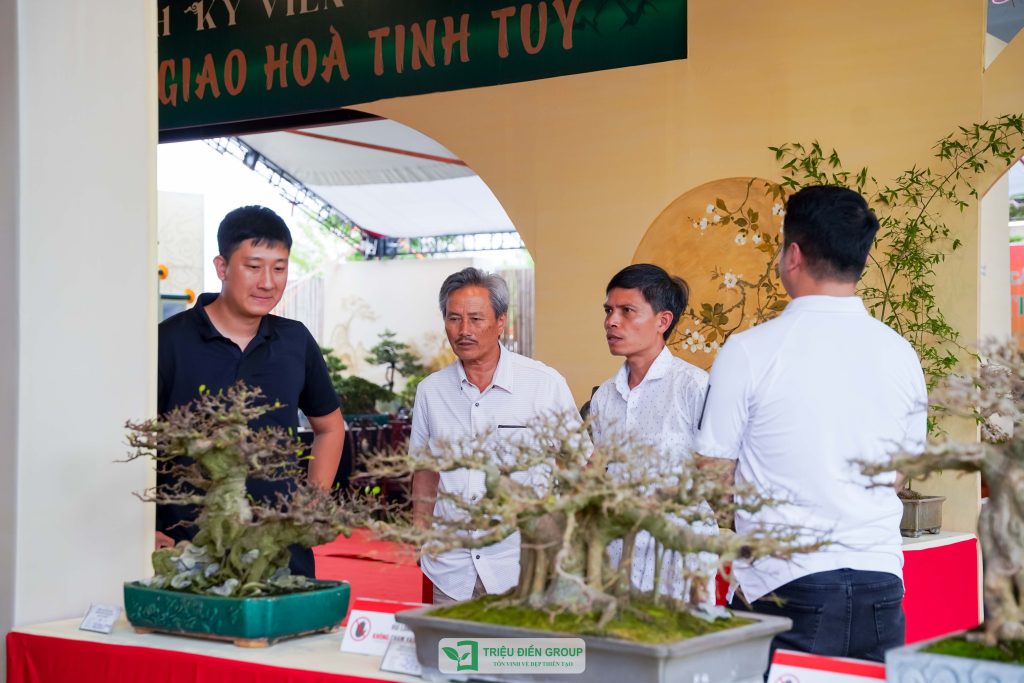 Thiết kế thi công sân vườn trọn gói tại hà nội