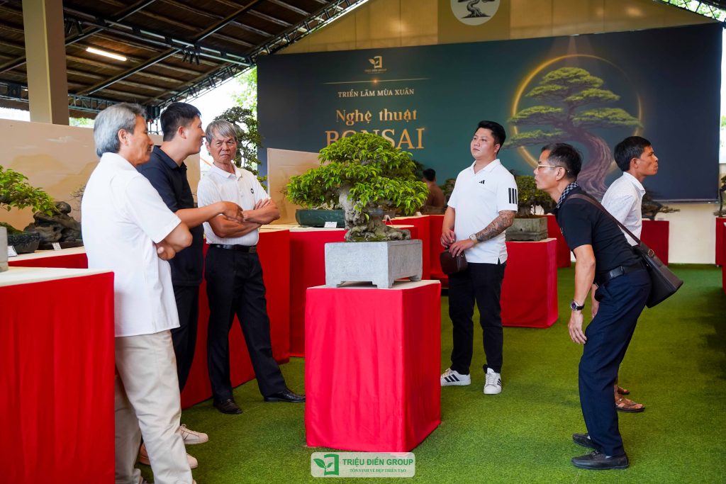 Thiết kế thi công sân vườn trọn gói tại hà nội