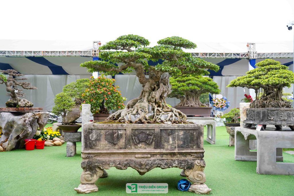 Thiết kế thi công sân vườn trọn gói tại hà nội