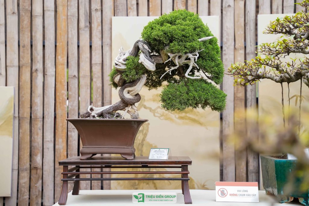 Thiết kế thi công sân vườn trọn gói tại hà nội