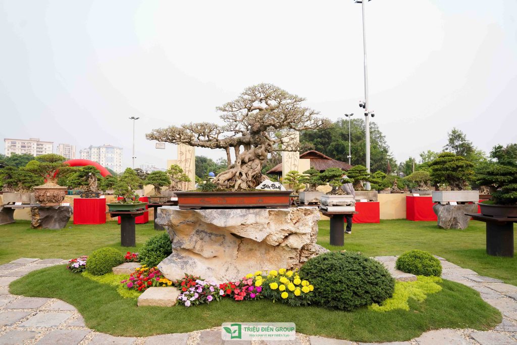 Thiết kế thi công sân vườn trọn gói tại hà nội