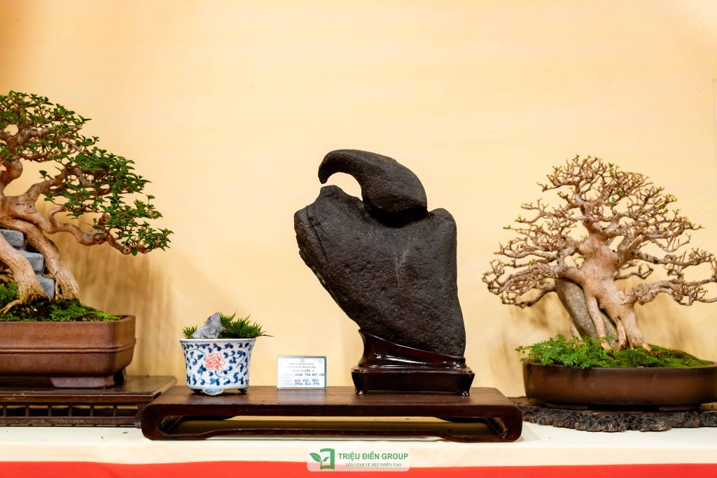 Thiết kế thi công sân vườn trọn gói tại hà nội