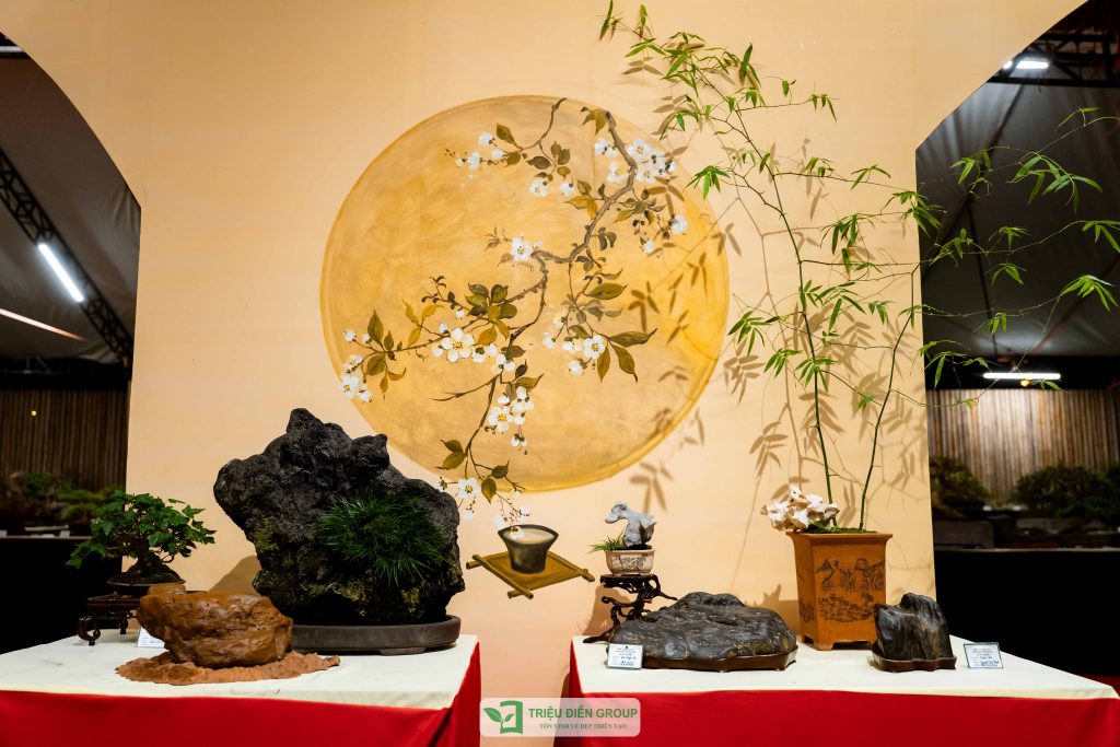 Thiết kế thi công sân vườn trọn gói tại hà nội