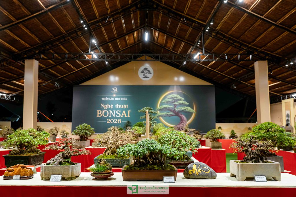 Thiết kế thi công sân vườn trọn gói tại hà nội