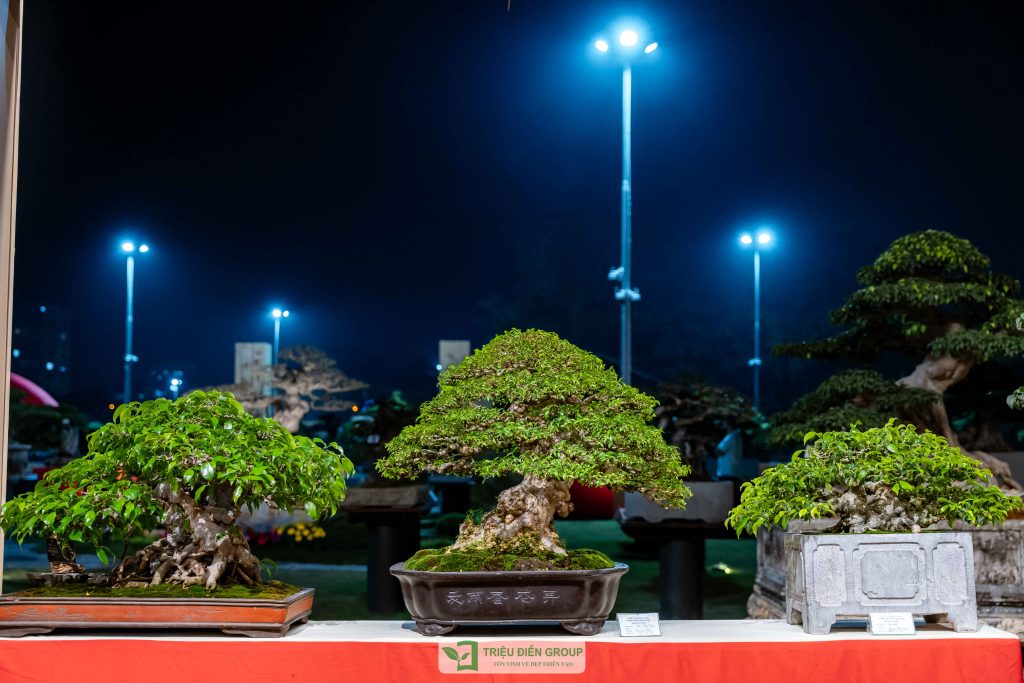 Thiết kế thi công sân vườn trọn gói tại hà nội