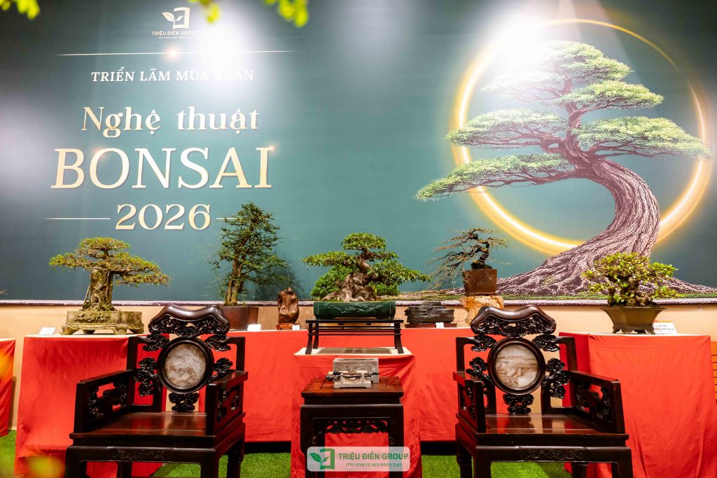 Thiết kế thi công sân vườn trọn gói tại hà nội