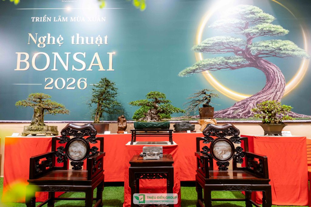 Thiết kế thi công sân vườn trọn gói tại hà nội