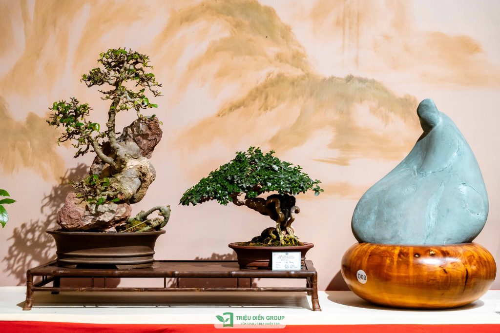 Thiết kế thi công sân vườn trọn gói tại hà nội