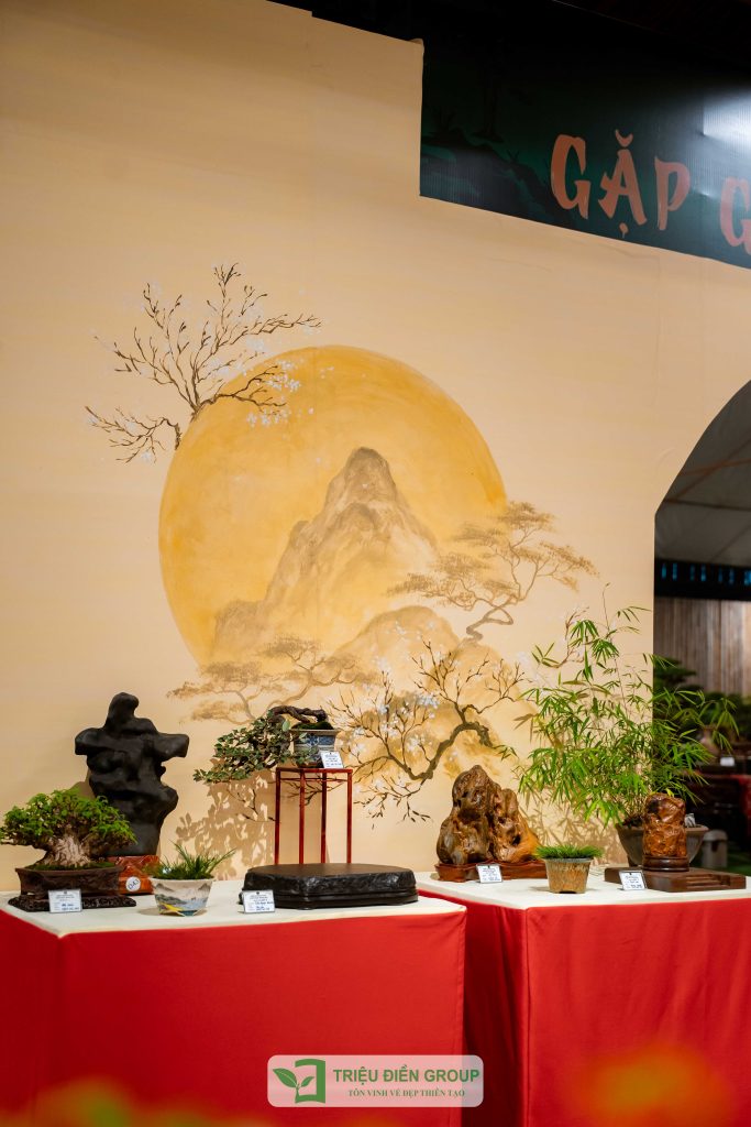 Thiết kế thi công sân vườn trọn gói tại hà nội