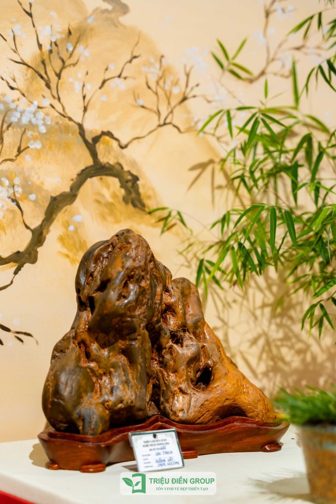 Thiết kế thi công sân vườn trọn gói tại hà nội