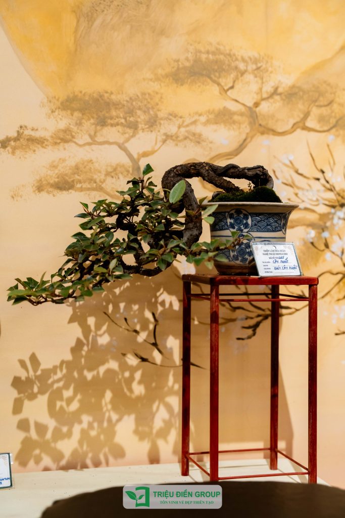 Thiết kế thi công sân vườn trọn gói tại hà nội