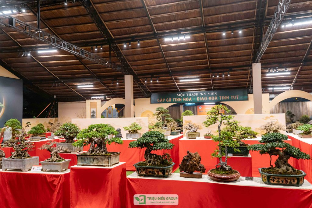 Thiết kế thi công sân vườn trọn gói tại hà nội