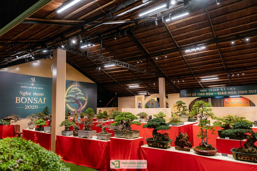 Thiết kế thi công sân vườn trọn gói tại hà nội