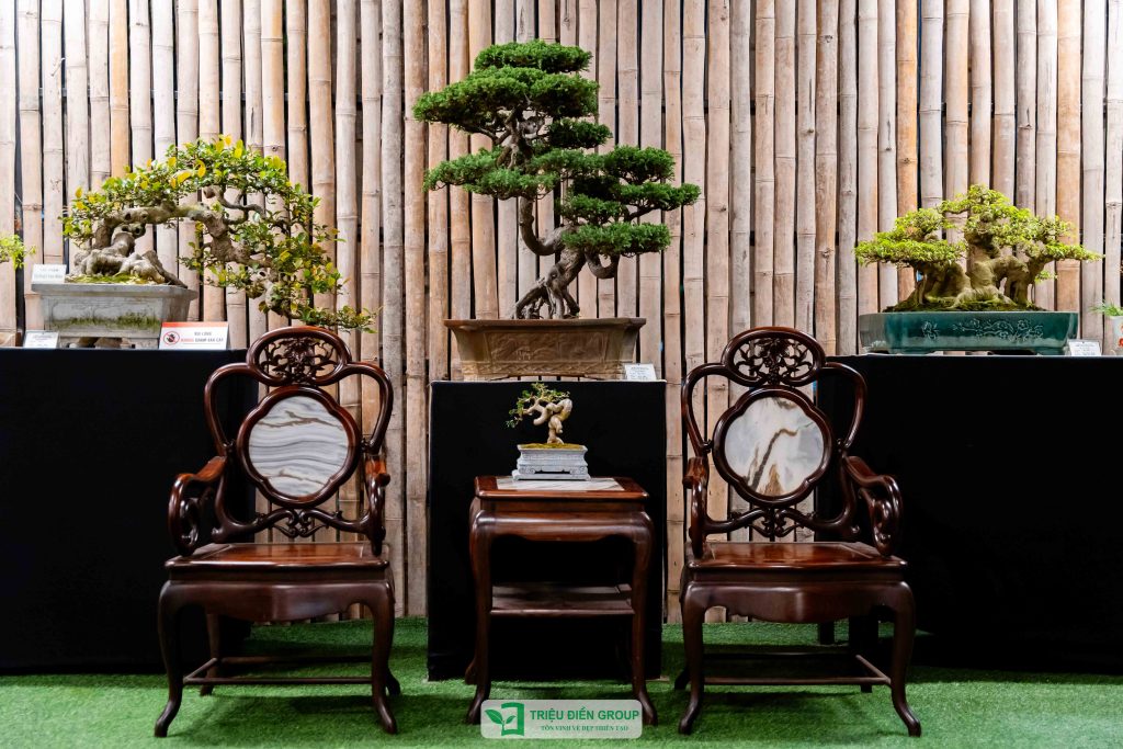 Thiết kế thi công sân vườn trọn gói tại hà nội