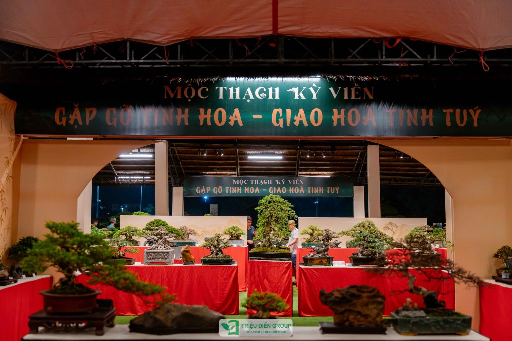 Thiết kế thi công sân vườn trọn gói tại hà nội