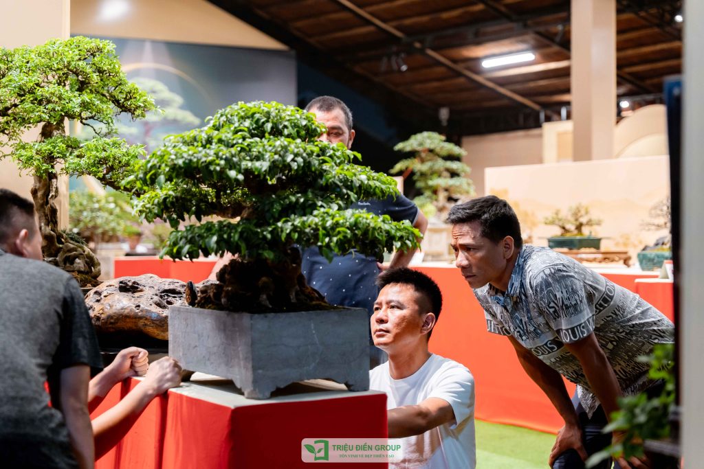 Thiết kế thi công sân vườn trọn gói tại hà nội