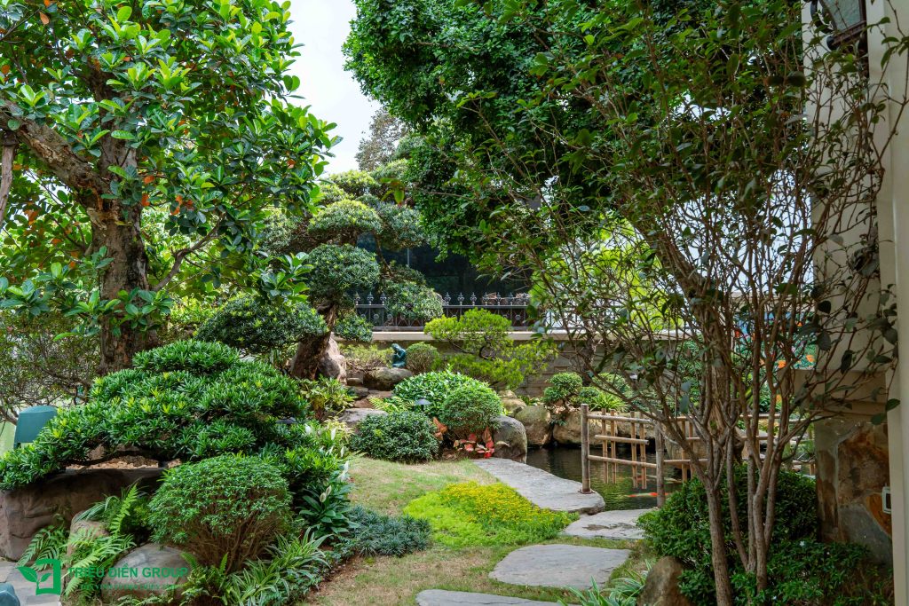 Thiết kế thi công sân vườn trọn gói tại hà nội