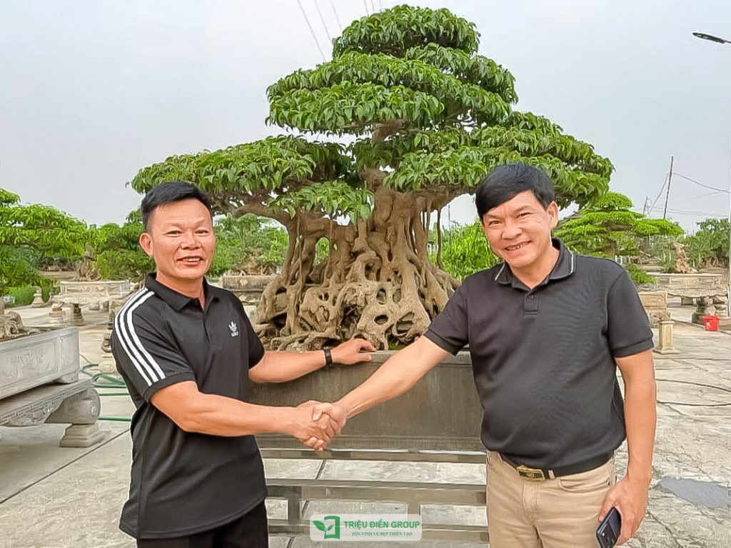 Thiết kế thi công sân vườn trọn gói tại hà nội