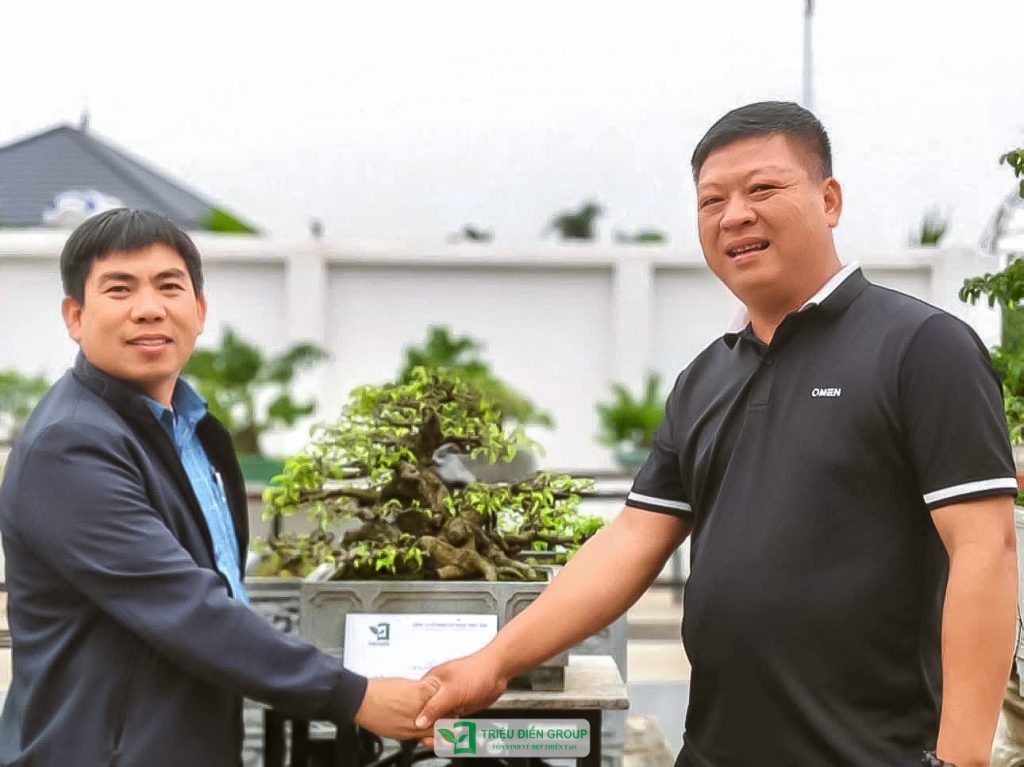 Thiết kế thi công sân vườn trọn gói tại hà nội